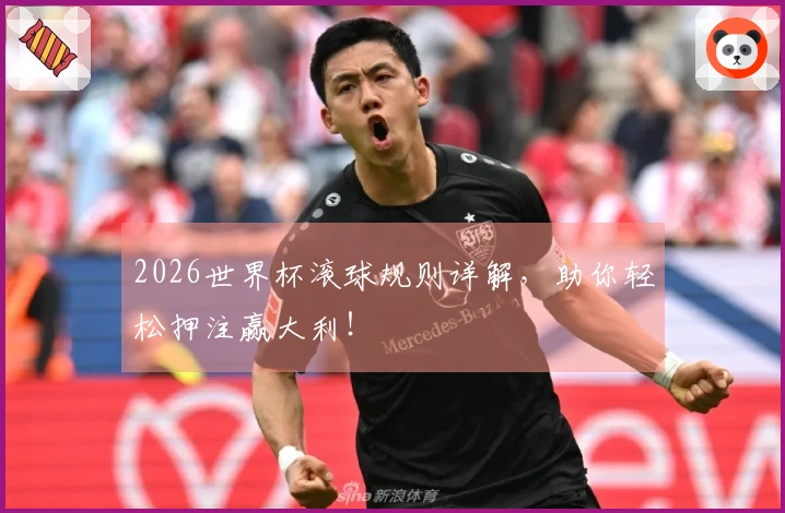 2026世界杯滚球规则详解，助你轻松押注赢大利！