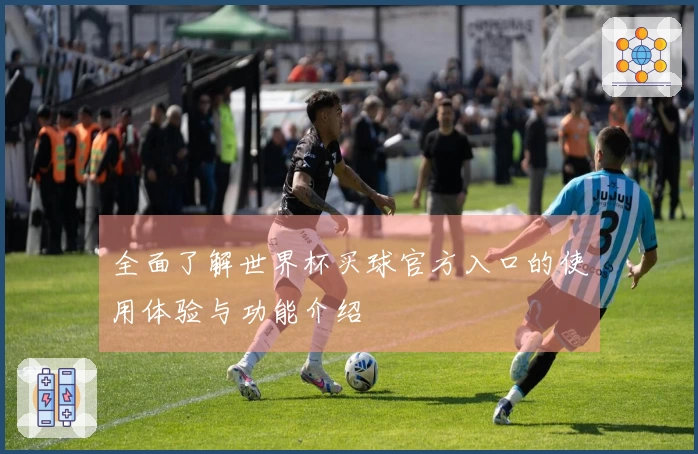 全面了解世界杯买球官方入口的使用体验与功能介绍