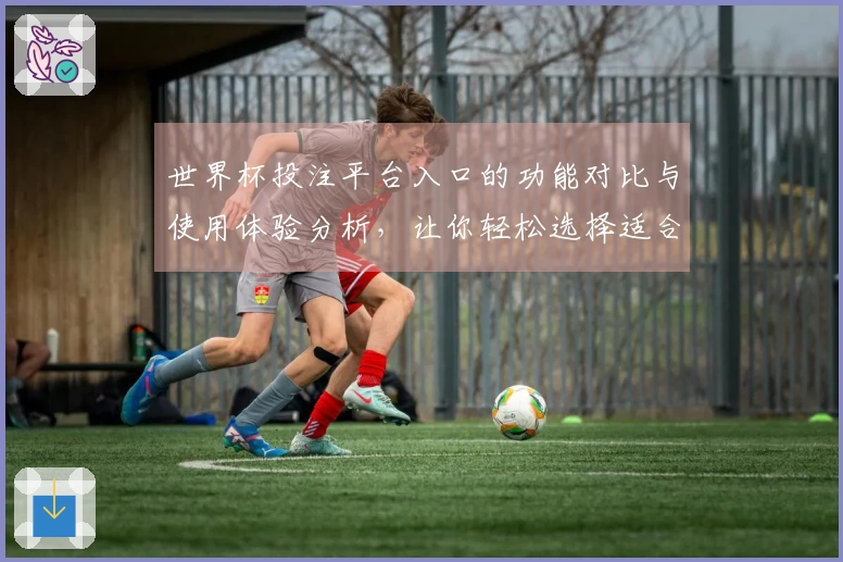 世界杯投注平台入口的功能对比与使用体验分析，让你轻松选择适合的平台