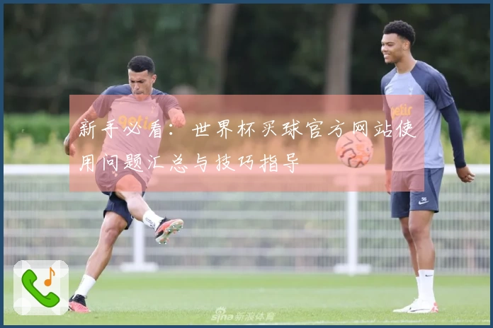 新手必看：世界杯买球官方网站使用问题汇总与技巧指导