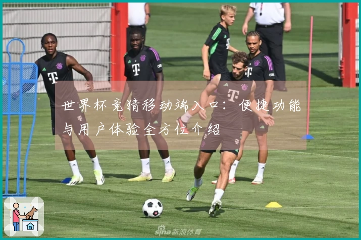 世界杯竞猜移动端入口：便捷功能与用户体验全方位介绍