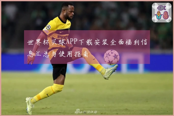 世界杯买球APP下载安装全面福利信息汇总与使用指南