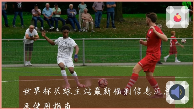 世界杯买球主站最新福利信息汇总及使用指南
