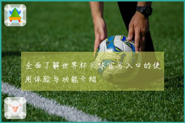 全面了解世界杯买球官方入口的使用体验与功能介绍