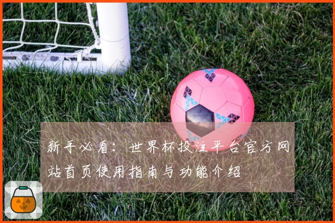 新手必看：世界杯投注平台官方网站首页使用指南与功能介绍