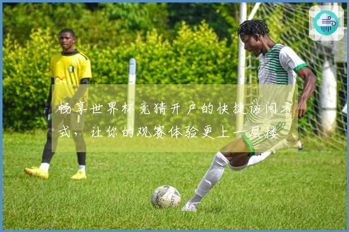 畅享世界杯竞猜开户的快捷访问方式,让你的观赛体验更上一层楼